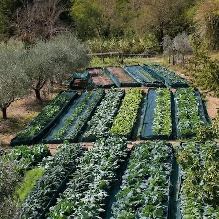 アパート Tuscan With Spectacular Views *